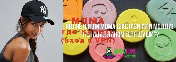 твердый Алексин