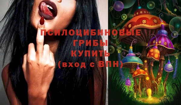 прущие грибы Алексеевка