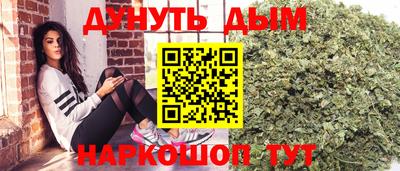 ешки Кингисепп