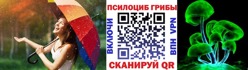 хочу наркоту  Чистополь  Псилоцибиновые грибы ЛСД 